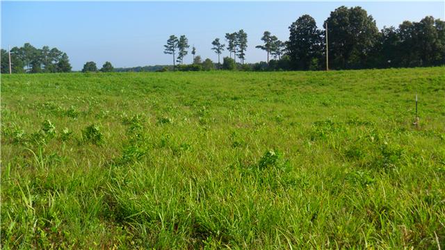 128 Piney Road Lawrenceburg, TN 38464 - Photo 12 of 17