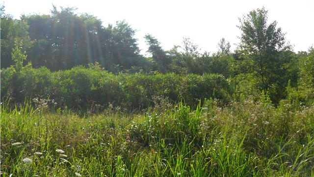 128 Piney Road Lawrenceburg, TN 38464 - Photo 15 of 17