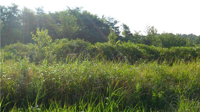128 Piney Road Lawrenceburg, TN 38464 - Photo 17 of 17