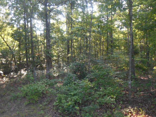 128 Piney Road Lawrenceburg, TN 38464 - Photo 3 of 17