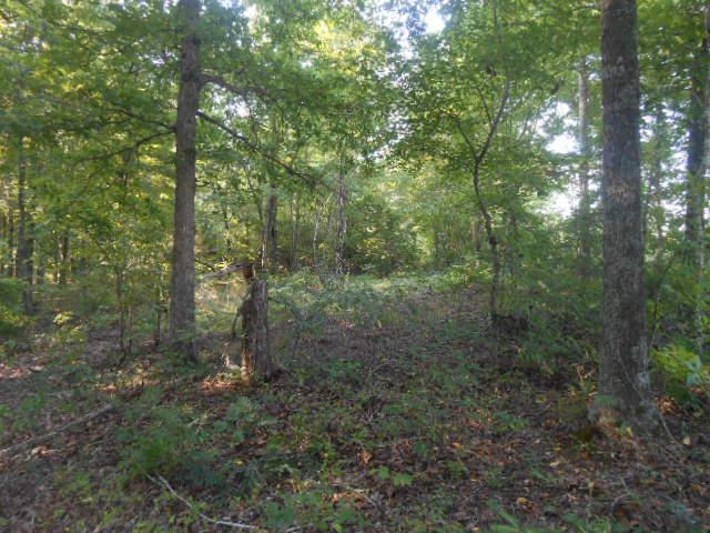 128 Piney Road Lawrenceburg, TN 38464 - Photo 4 of 17