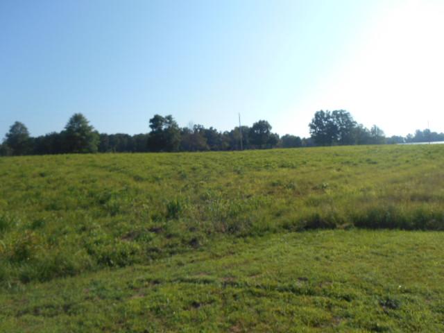 128 Piney Road Lawrenceburg, TN 38464 - Photo 6 of 17
