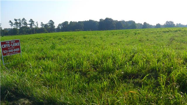 128 Piney Road Lawrenceburg, TN 38464 - Photo 9 of 17