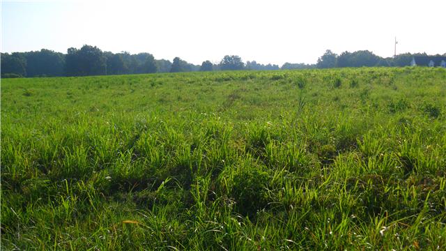 128 Piney Road Lawrenceburg, TN 38464 - Photo 10 of 17