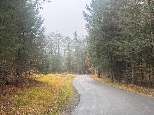 $30,450 | Thorpe Hill Road, Sidney, NY 13838