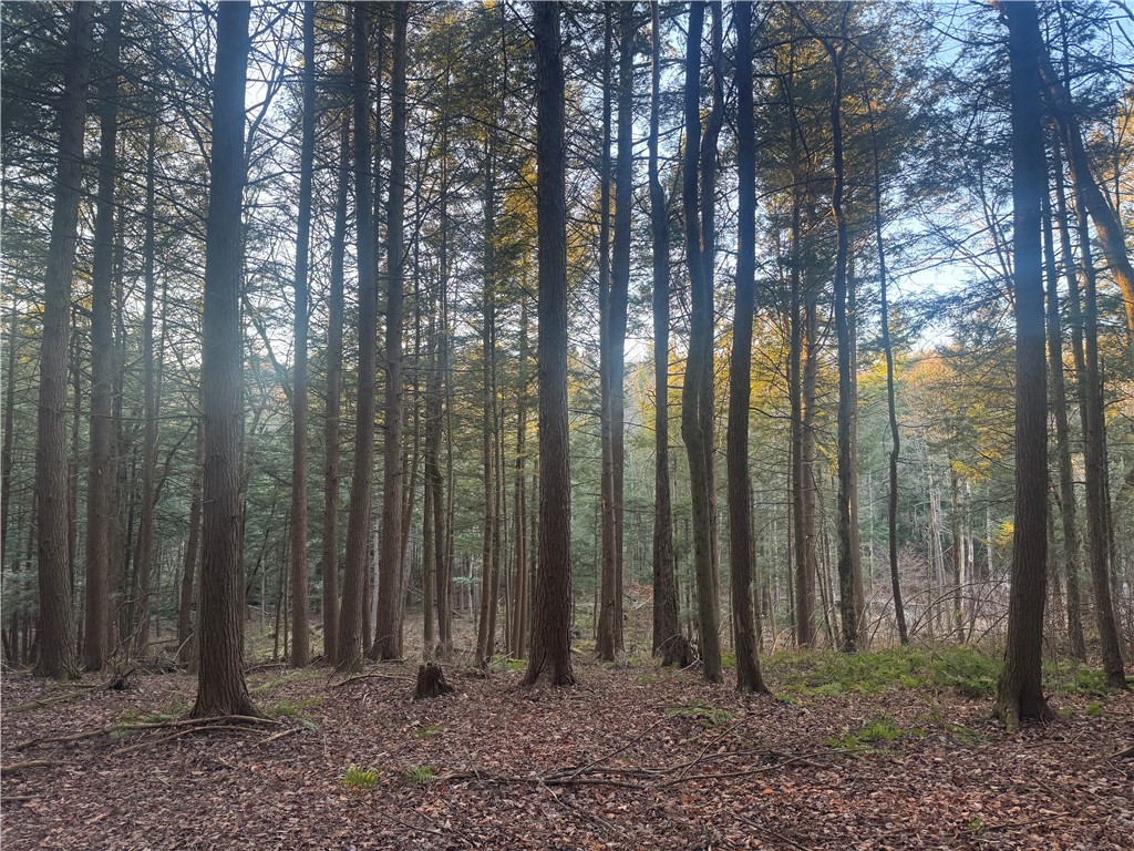 Thorpe Hill Road Sidney, NY 13838 - Photo 11 of 14