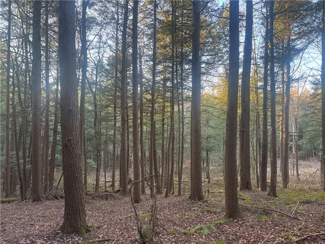 $35,168 | Thorpe Hill Road, Sidney, NY 13838