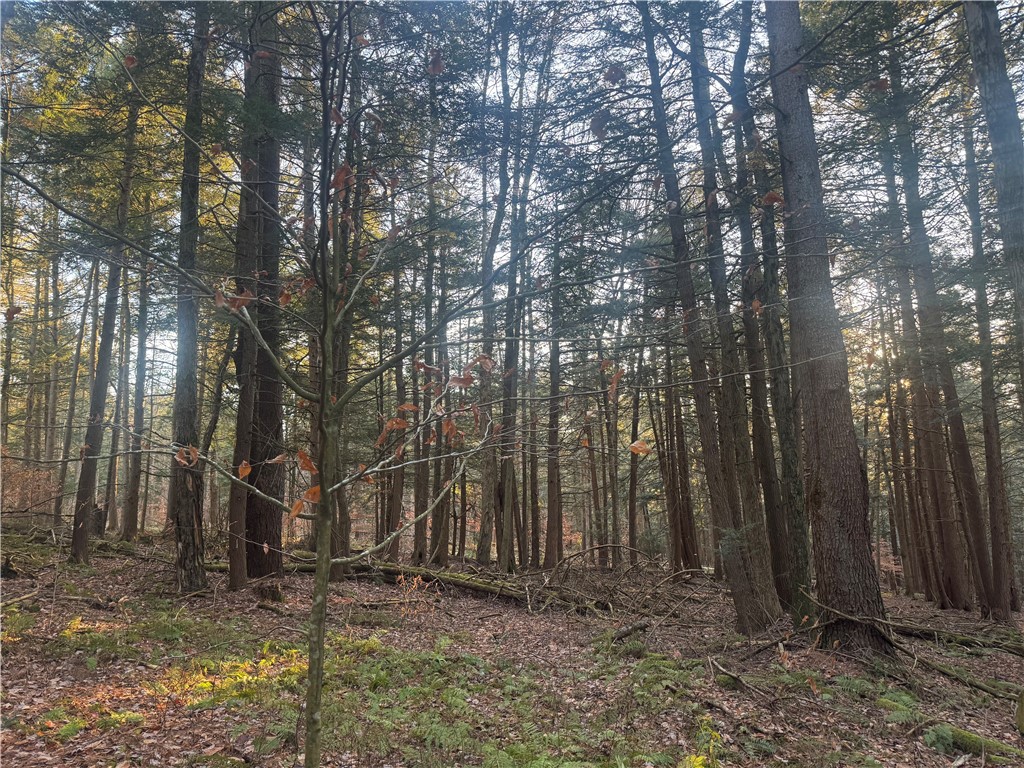 Thorpe Hill Road Sidney, NY 13838 - Photo 13 of 14