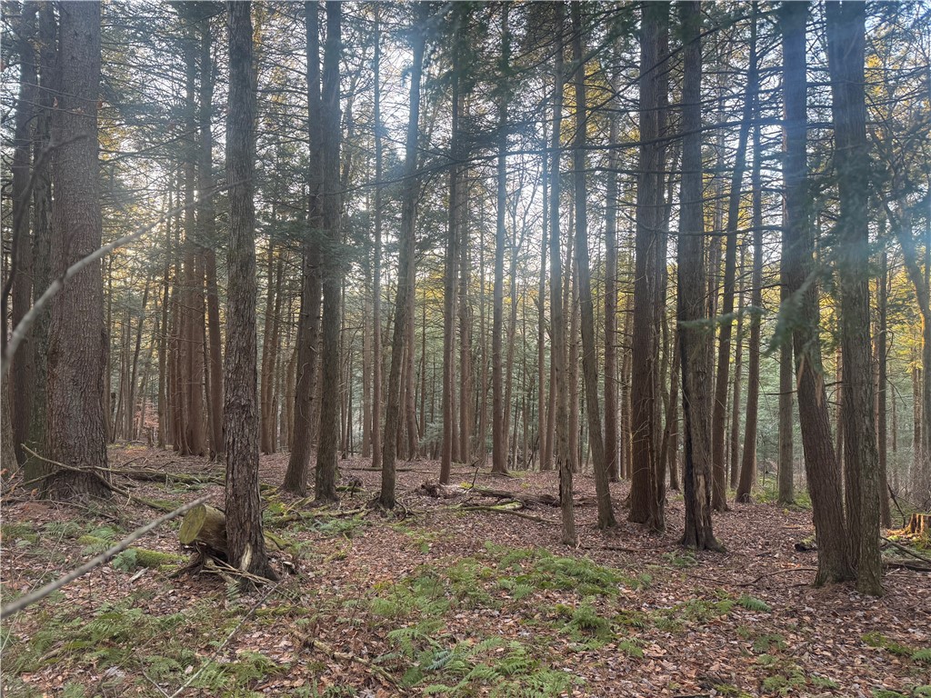 Thorpe Hill Road Sidney, NY 13838 - Photo 14 of 14