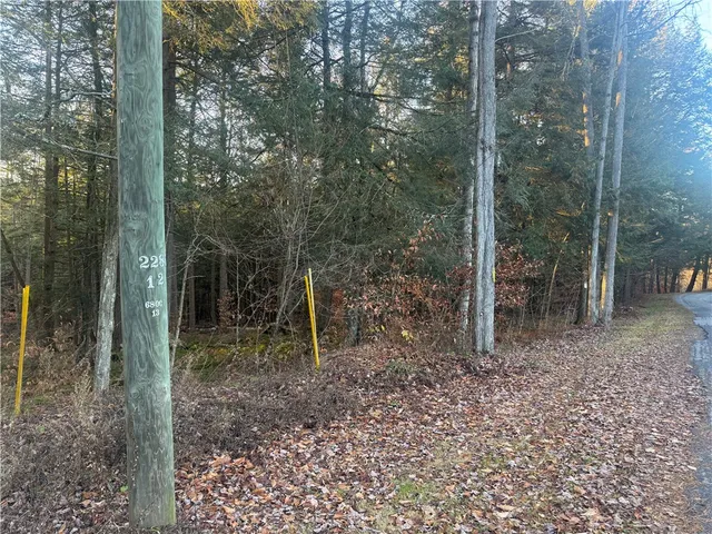 $35,168 | Thorpe Hill Road, Sidney, NY 13838