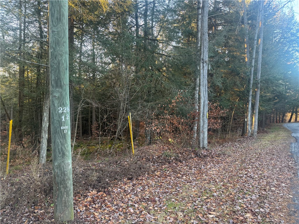 Thorpe Hill Road Sidney, NY 13838 - Photo 2 of 14