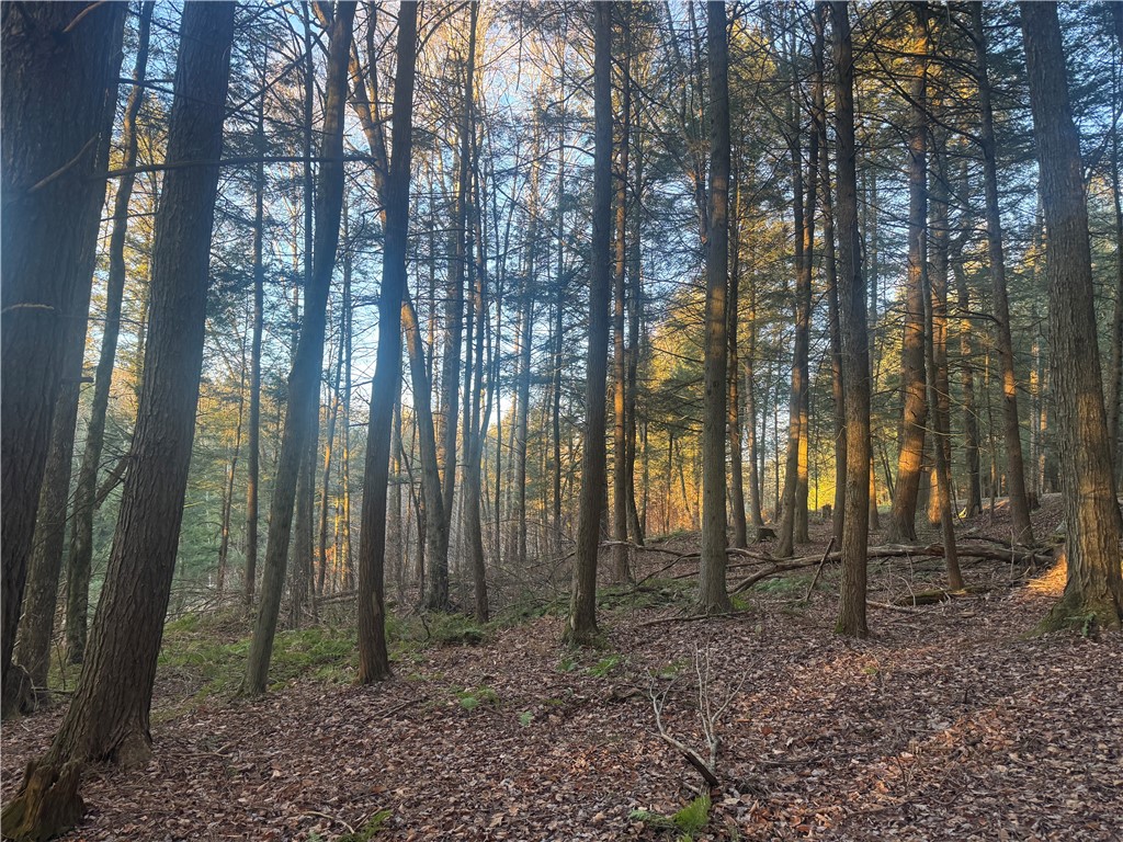 Thorpe Hill Road Sidney, NY 13838 - Photo 3 of 14