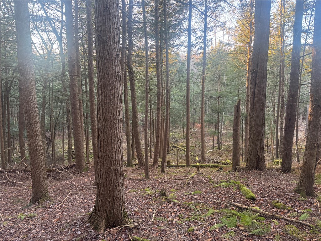 Thorpe Hill Road Sidney, NY 13838 - Photo 4 of 14