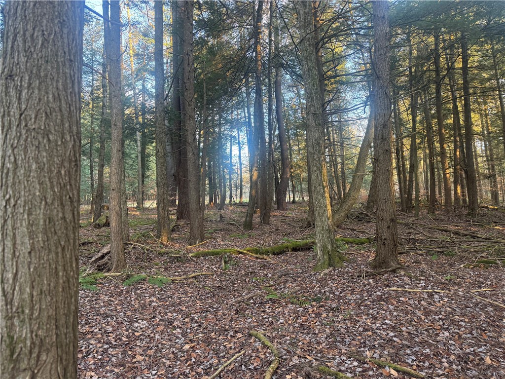 Thorpe Hill Road Sidney, NY 13838 - Photo 5 of 14