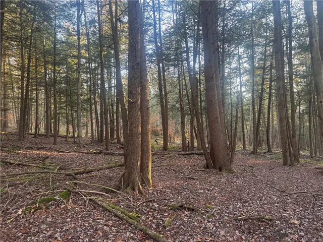 $35,168 | Thorpe Hill Road, Sidney, NY 13838