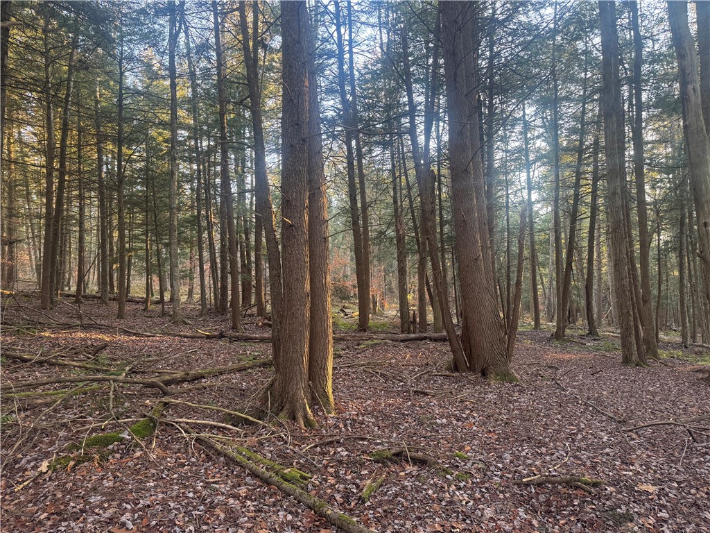 Thorpe Hill Road Sidney, NY 13838 - Photo 6 of 14