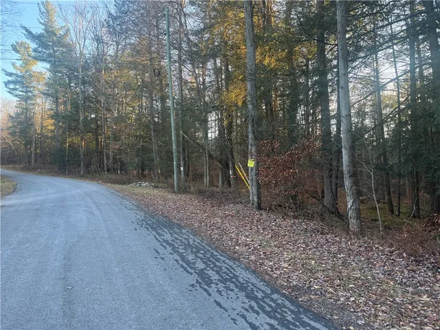 $35,168 | Thorpe Hill Road, Sidney, NY 13838