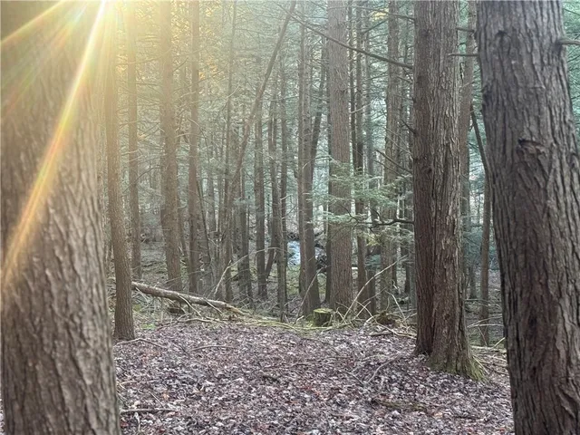 $35,168 | Thorpe Hill Road, Sidney, NY 13838