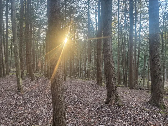 $35,168 | Thorpe Hill Road, Sidney, NY 13838