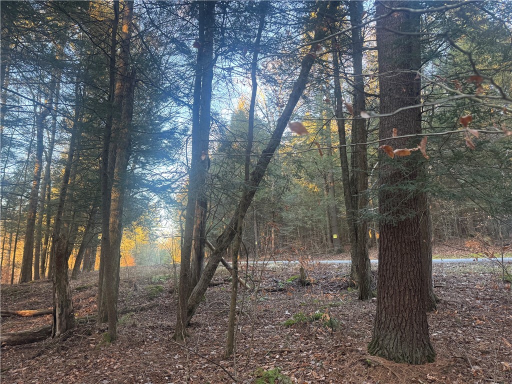 Thorpe Hill Road Sidney, NY 13838 - Photo 10 of 14