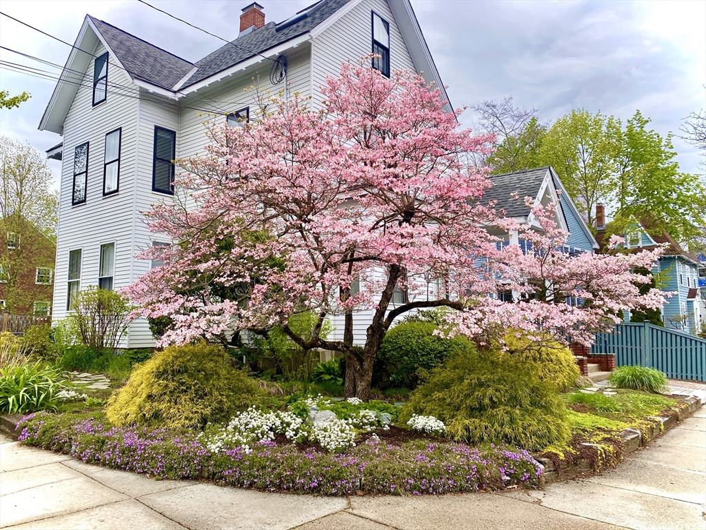 209 Walnut Street, Unit 1 Newton, MA 02460 - Photo 2 of 40