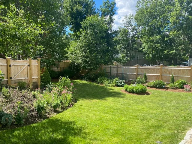 a view of a backyard