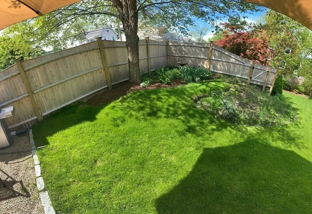 a view of a backyard with plants and large trees