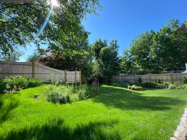 a view of a backyard