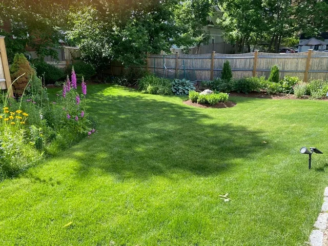 a backyard of a house with lots of green space and chair