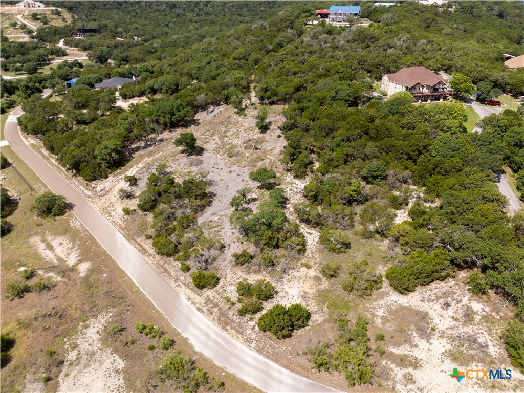 1259 Windy Hill Road Salado, TX 76571 - Photo 4 of 6