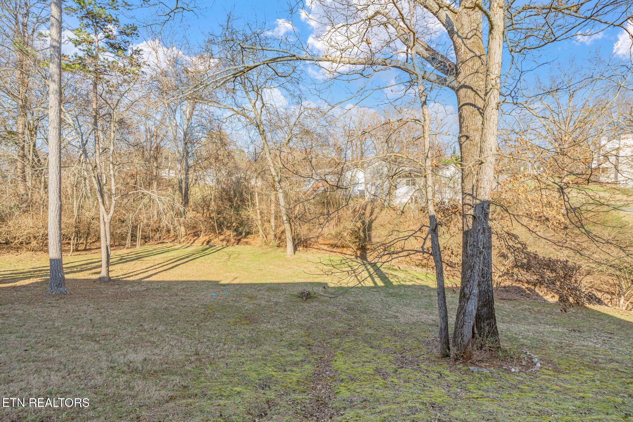 8533 Constance Way Knoxville, TN 37923 - Photo 28 of 30 a view of yard