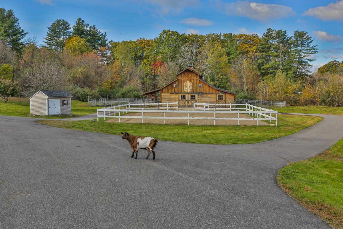 17 Humphrey Road Derry, NH 03038 - Photo 4 of 40