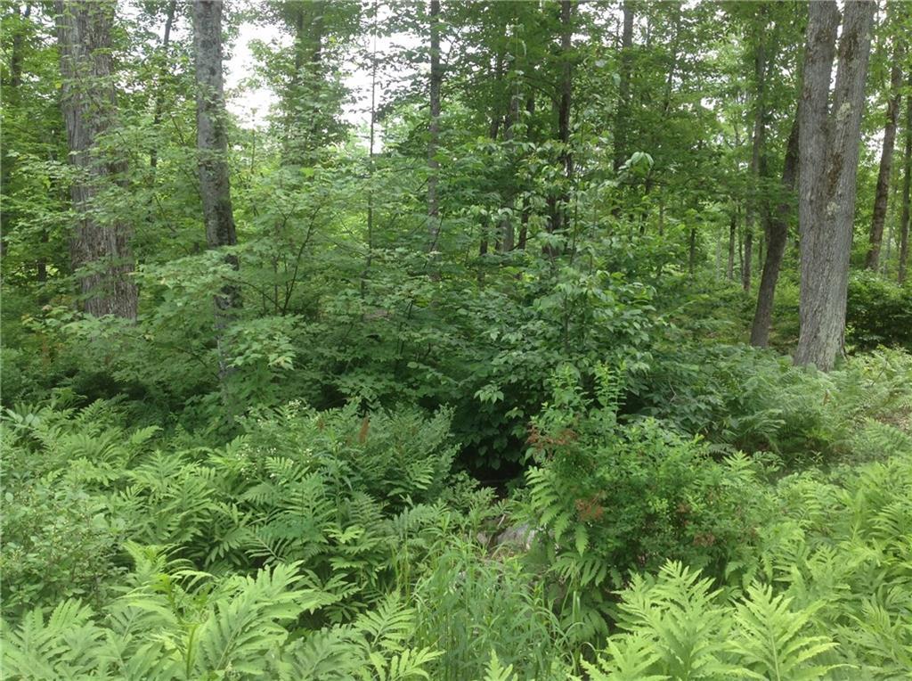 Lot 33 Main Springvale, ME 04083 - Photo 7 of 10 Photo