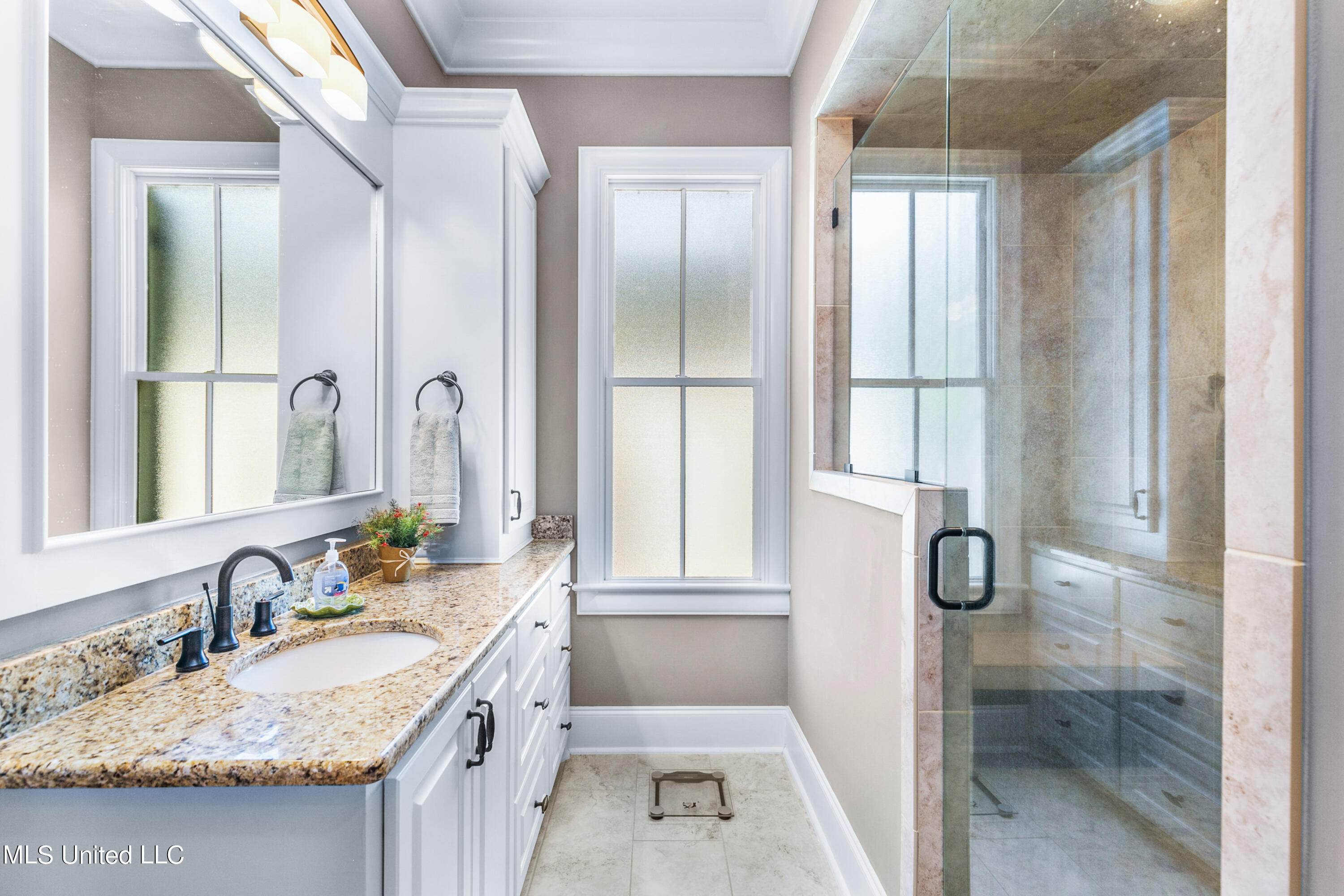 208 Eastpark Street Ridgeland, MS 39157 - Photo 28 of 60 Large primary bathroom