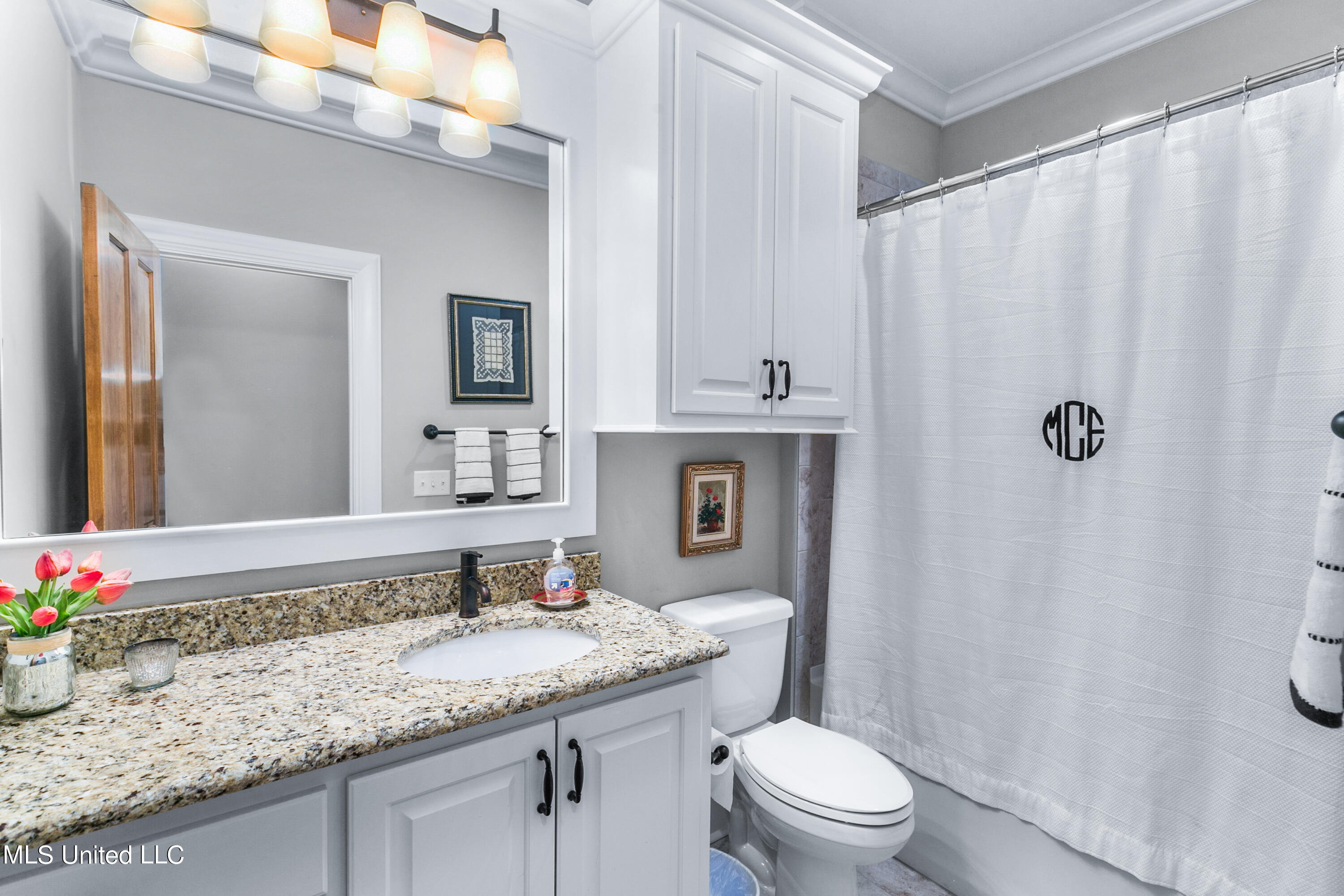 208 Eastpark Street Ridgeland, MS 39157 - Photo 45 of 60 Upstairs bath