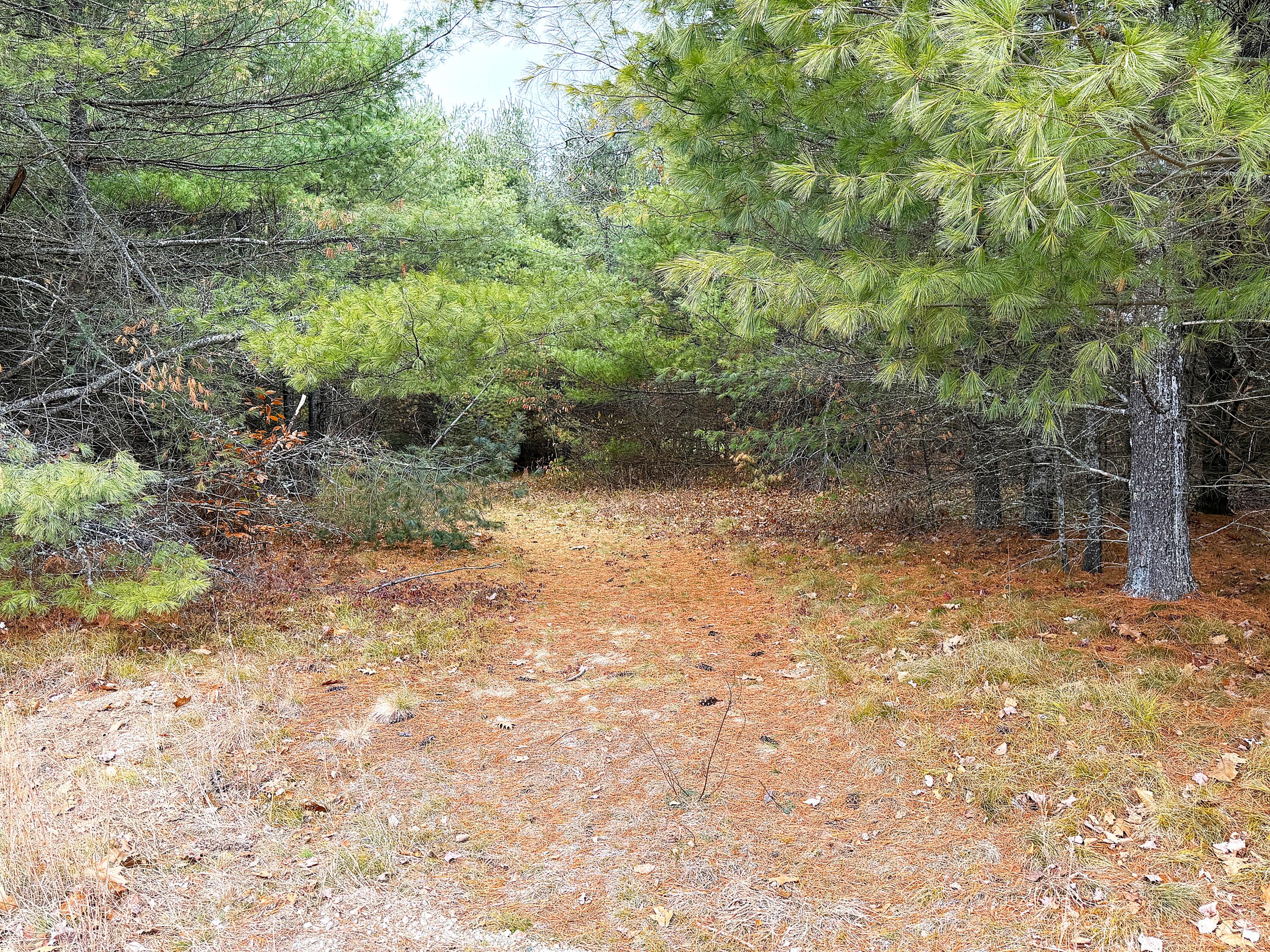 Lot 4 Emery Road Parsonsfield, ME 04047 - Photo 8 of 26 IMG_1260