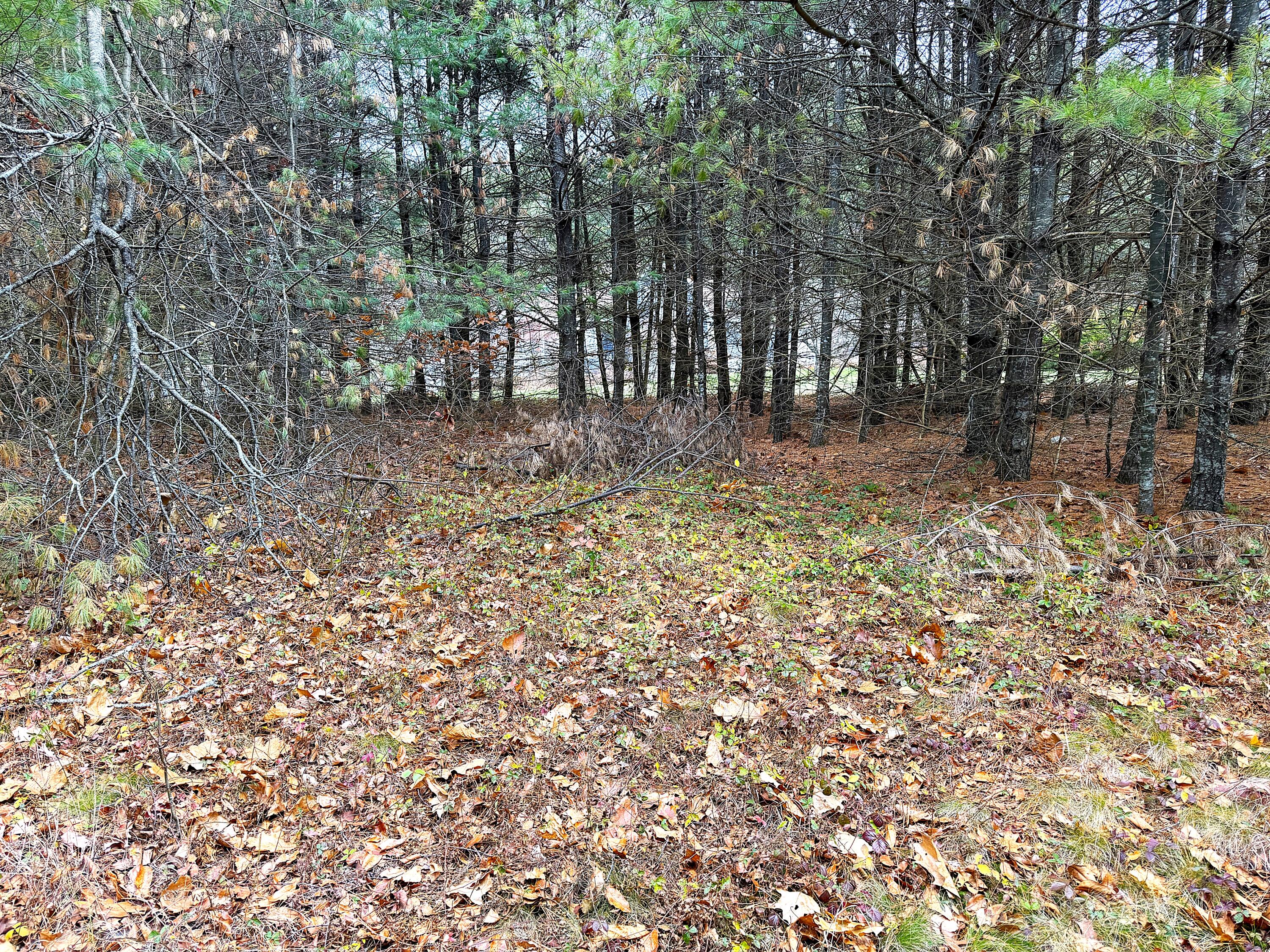 Lot 4 Emery Road Parsonsfield, ME 04047 - Photo 9 of 26 IMG_1270