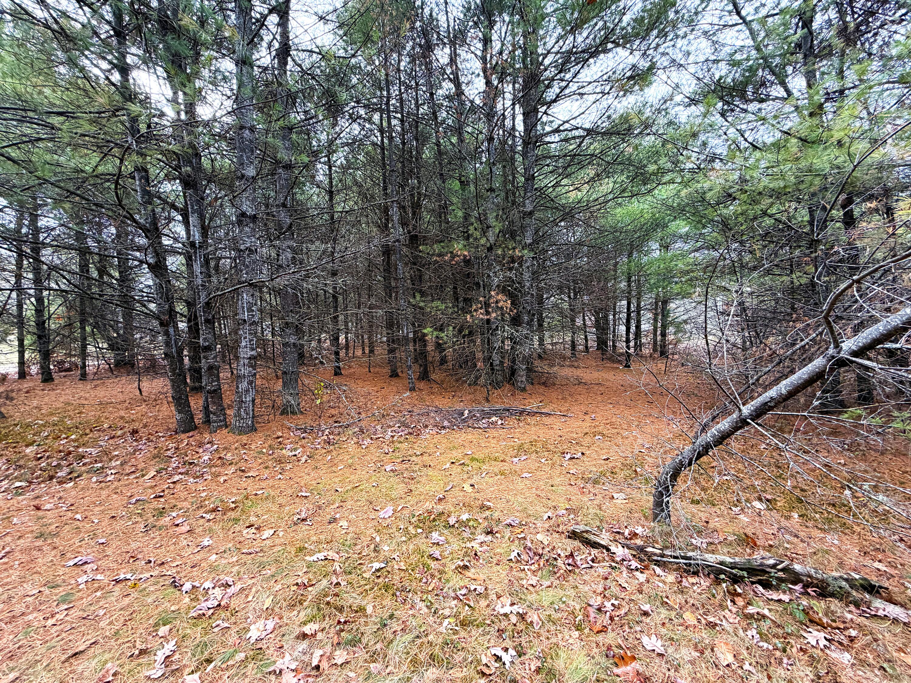 Lot 4 Emery Road Parsonsfield, ME 04047 - Photo 10 of 26 IMG_1280