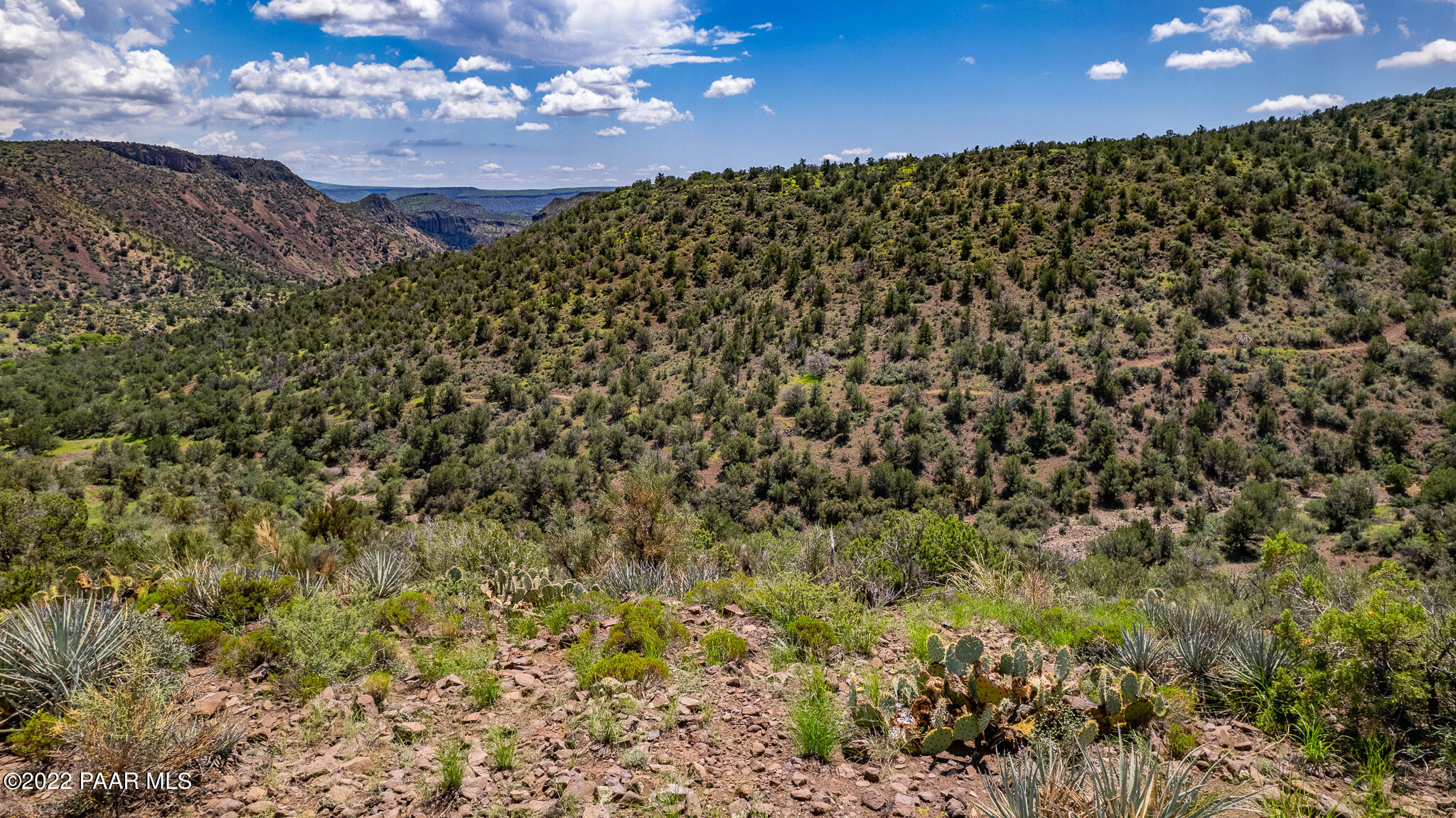 160-ac East Fort Rock Ranch Road Kingman, AZ 86401 - Photo 39 of 44 SE CORNER SOUTH