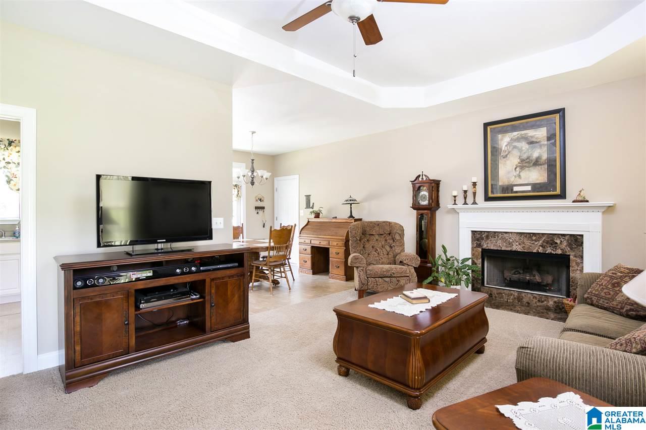 1665 Canoe Creek Road Springville, AL 35146 - Photo 5 of 24