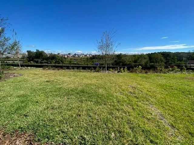 $2,795 | 16038 Winding Bluff Drive, Montverde, FL 34756