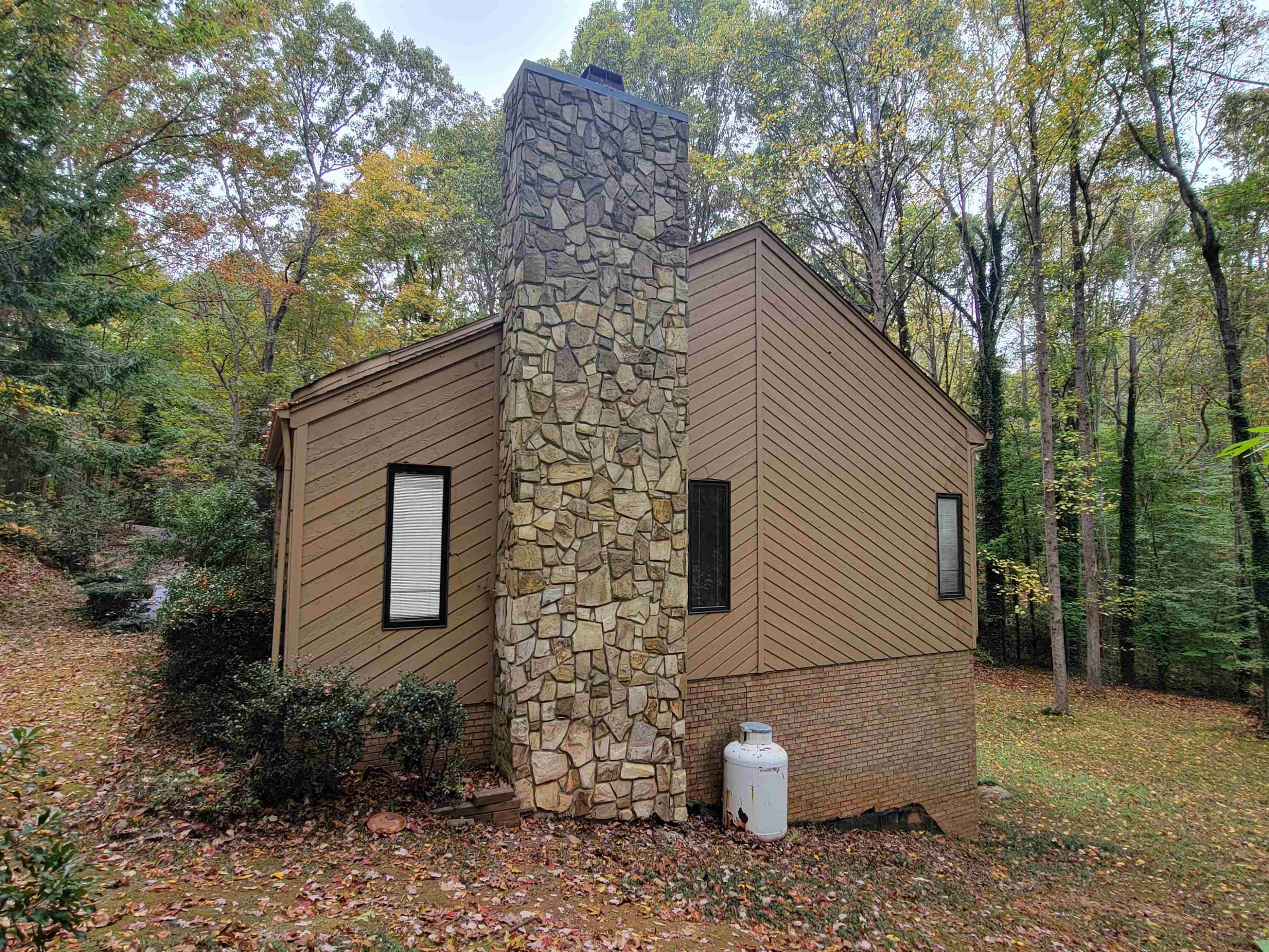 7816 Netherlands Drive Raleigh, NC 27606 - Photo 50 of 60 a backyard of a house with plants and trees