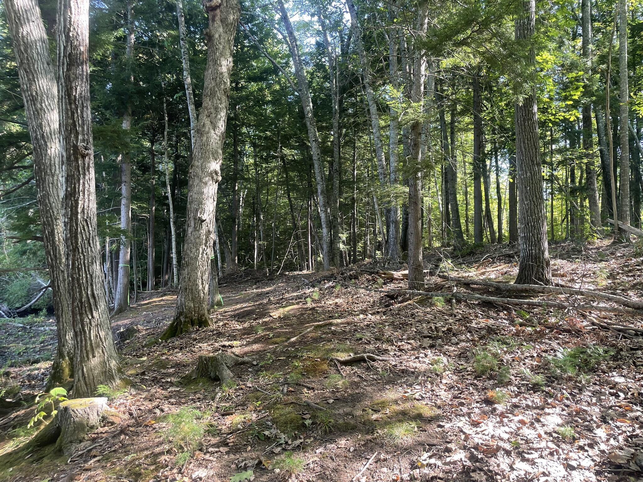 0 Route9-126 Road Litchfield, ME 04350 - Photo 88 of 105
