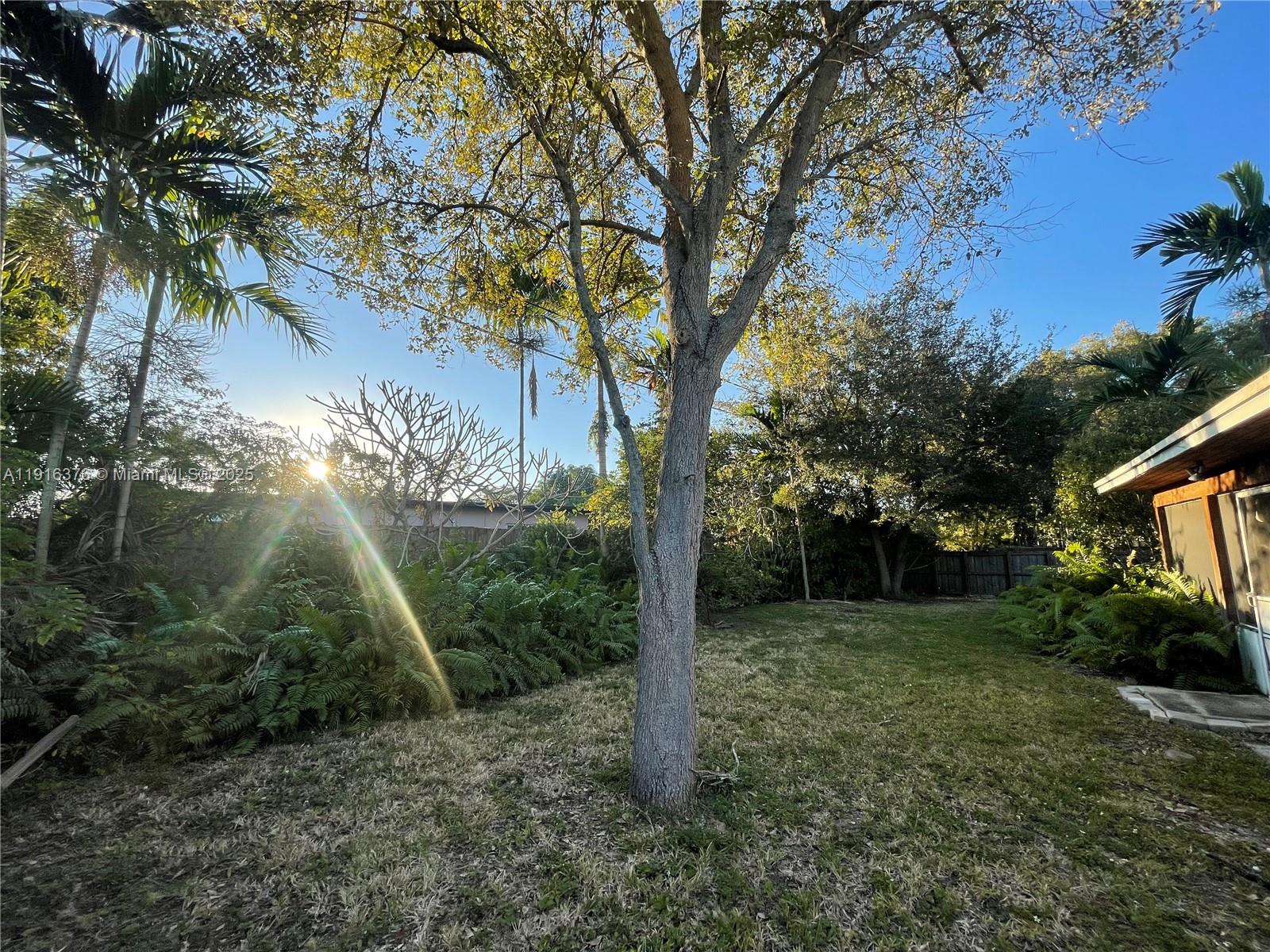 19700 Whispering Pines Road Cutler Bay, FL 33157 - Photo 23 of 27 a view of a tree in a yard