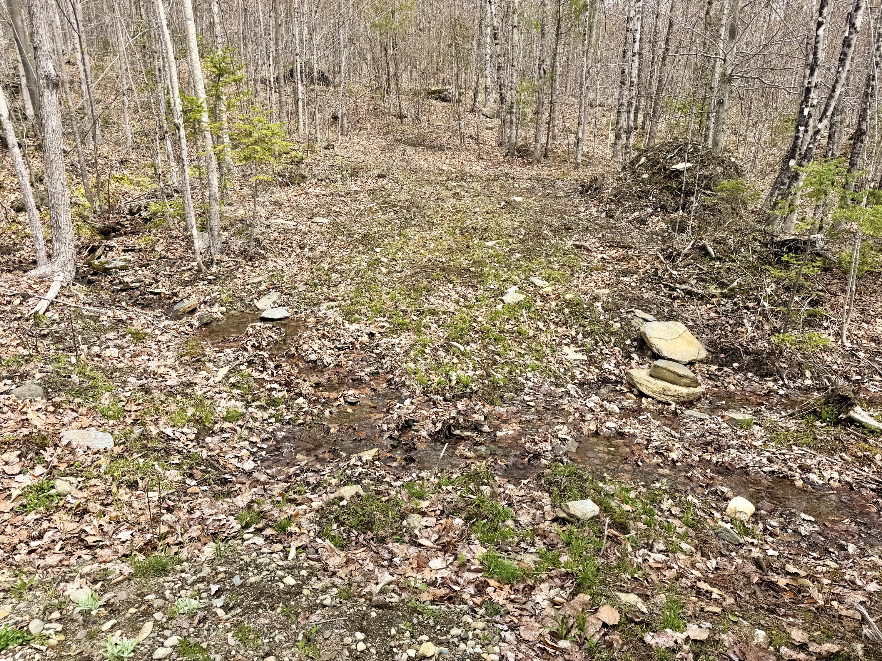Lot 2 Mooseley Ridge Road Phillips, ME 04966 - Photo 3 of 24