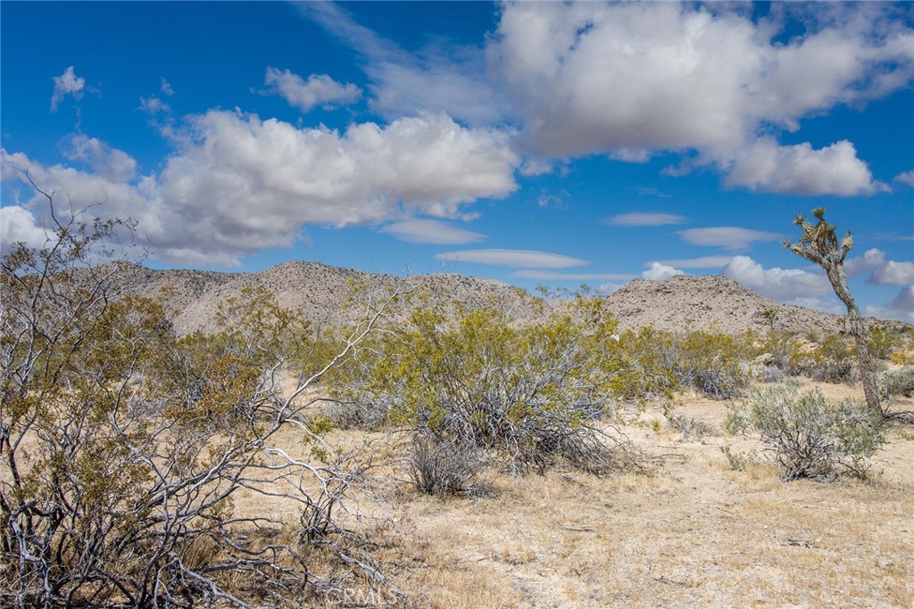 4444 Valley Vista Road Johnson Valley, CA 92285 - Photo 4 of 5