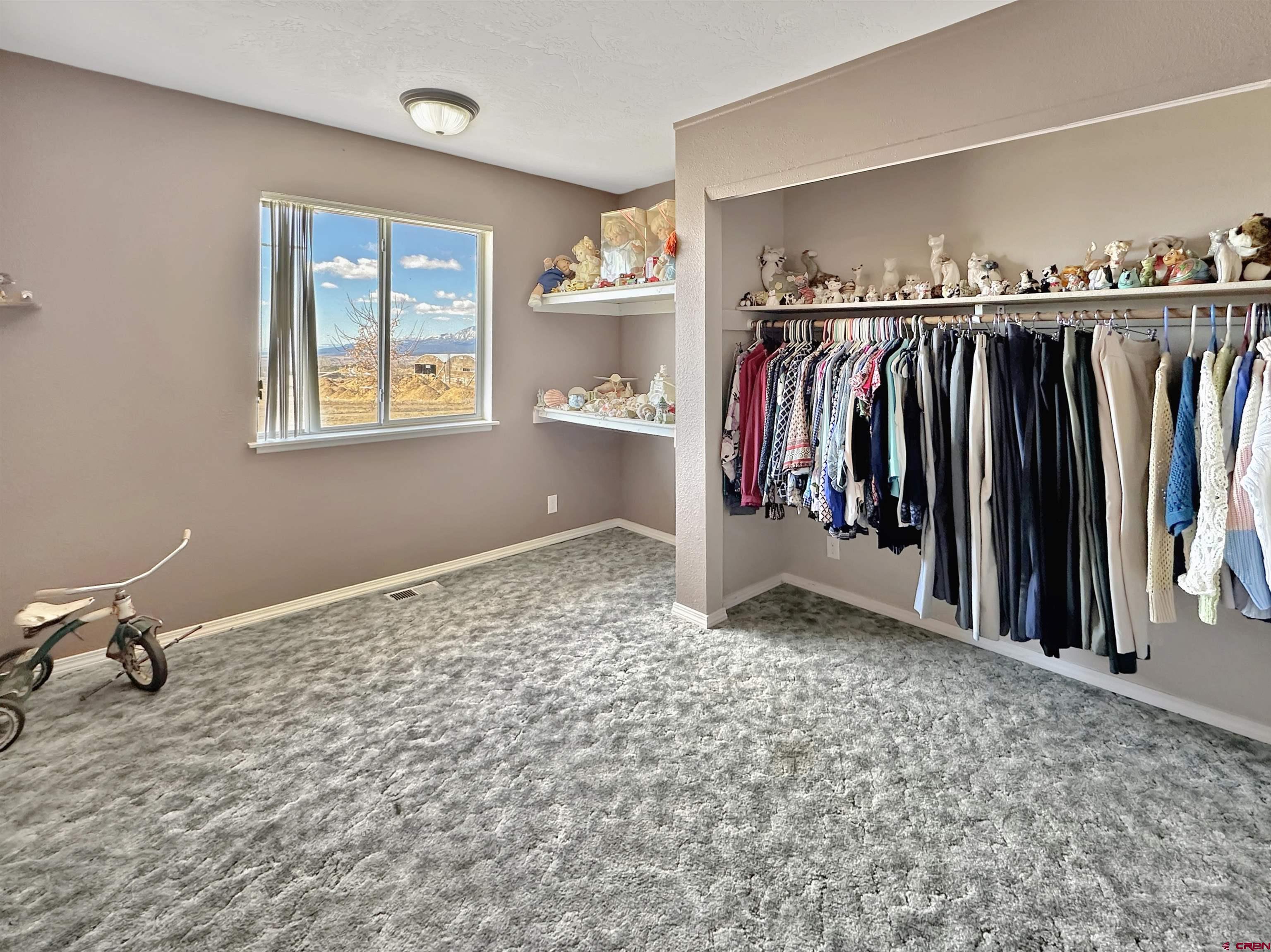 27980 Rd T Dolores, CO 81323 - Photo 14 of 29 a view of walk in closet with clothes and shoes
