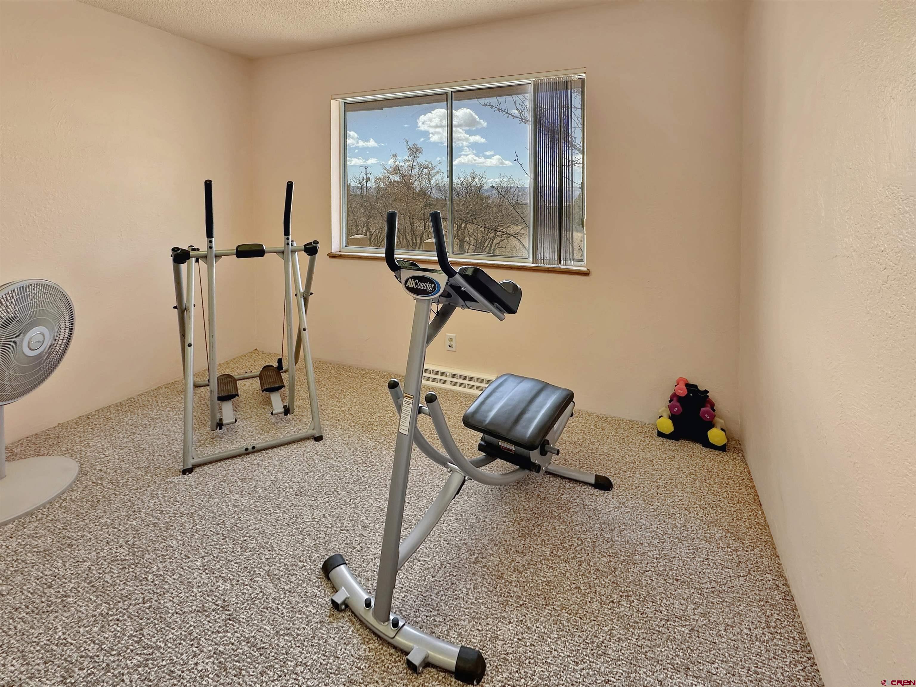 27980 Rd T Dolores, CO 81323 - Photo 16 of 29 a room with gym equipment