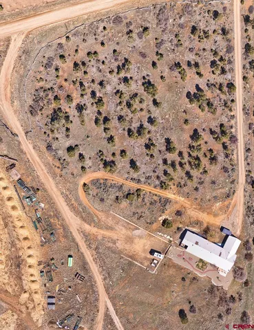 a picture of a black and white photo