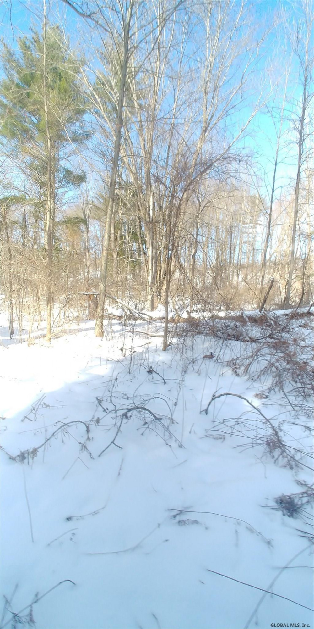 63 Mergner Road Fort Johnson, NY 12070 - Photo 18 of 23 Photo 18